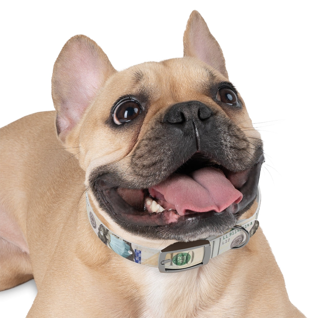 Dog Collar 100$ F#@$ C*#$d 19 – theplugautomotive